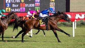 2025 Arlington Million, Beverly D. Stakes, Colonial Downs, Fort Washington, Charlenes Dream